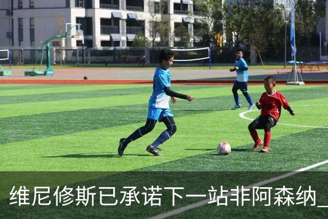 维尼修斯已承诺下一站非阿森纳 皇马巨星30岁出头必回弗拉门戈