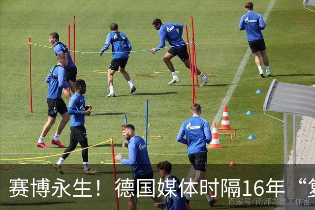 赛博永生！德国媒体时隔16年“复活”章鱼保罗，这次是以AI的形式